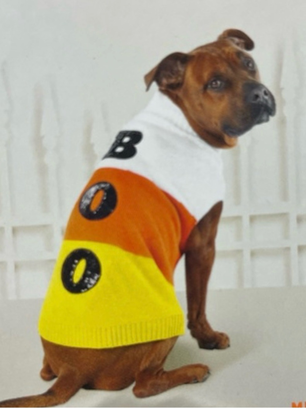🆕Pet Dog Halloween Candy Corn Sweater - White, Orange & Yellow Size XL